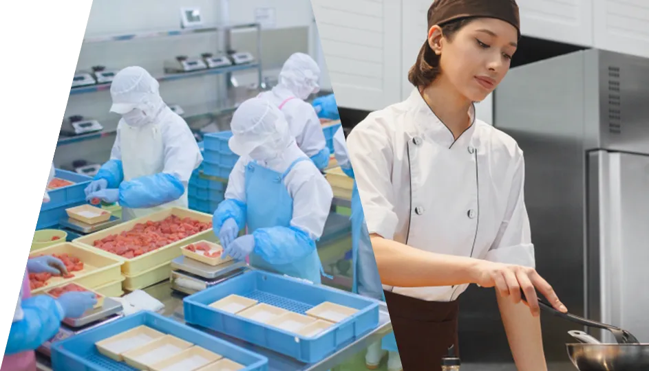 「飲食料品製造業」「外食業」特定技能人材採用情報